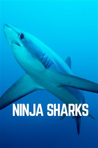 Ninja Sharks poster