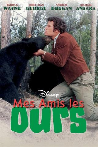 Mes amis les ours poster