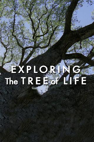 Exploring 'The Tree of Life' poster