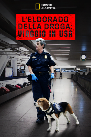 L'Eldorado della droga: Viaggio in USA poster
