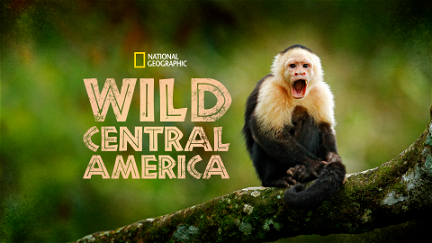 Destination Wild : Amérique centrale poster