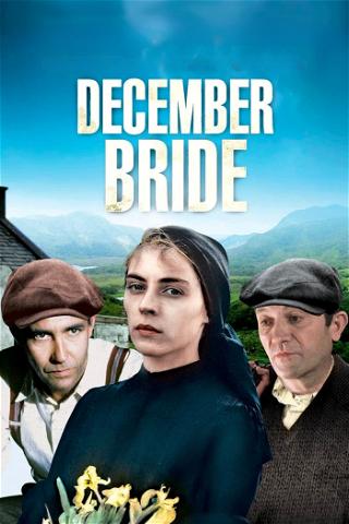 La novia de diciembre poster