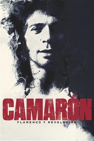 Camarón poster