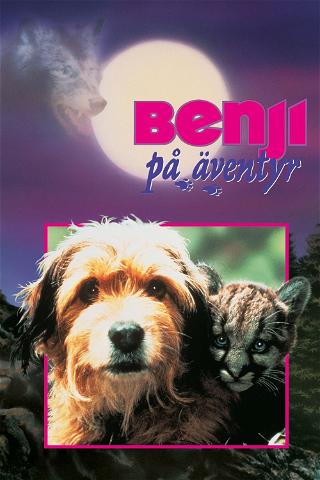 Benji på äventyr poster
