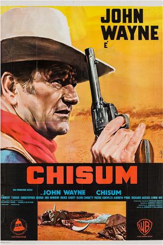 Chisum poster