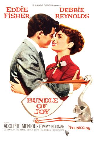 Bundle of Joy (1956) poster