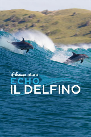 Echo, il delfino poster