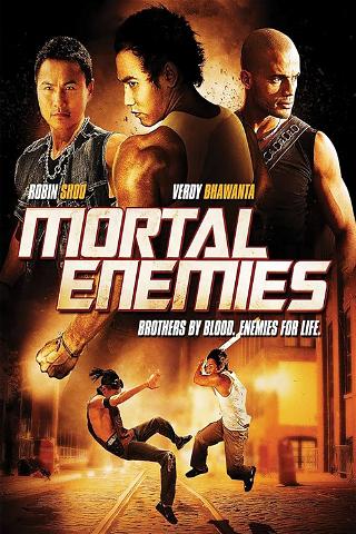 Mortal Enemies poster
