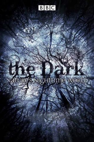 La oscuridad: el mundo nocturno de la naturaleza poster
