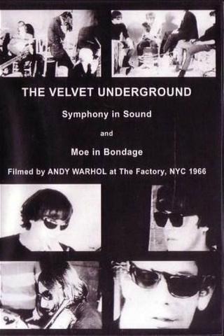The Velvet Underground & Nico: A Symphony of Sound poster