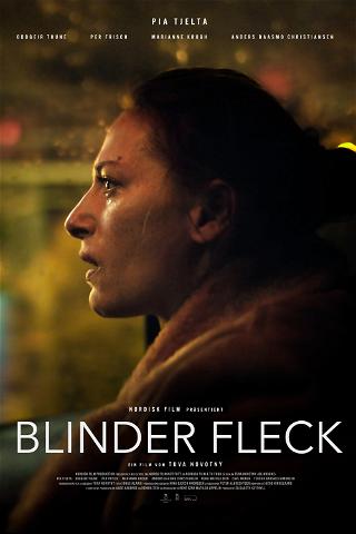 Blinder Fleck poster