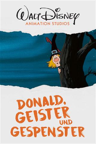 Donald, Geister und Gespenster poster