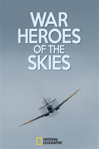 War Heroes of The Skies poster