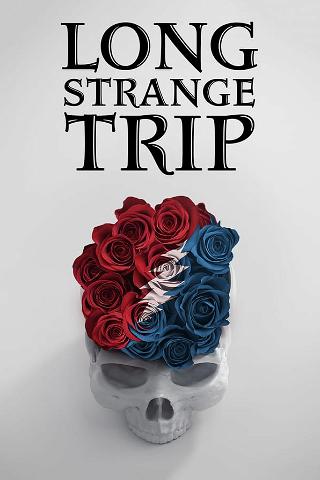 A Long Strange Trip poster