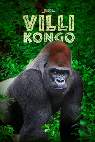 Villi Kongo poster