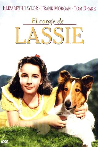 El coraje de Lassie poster