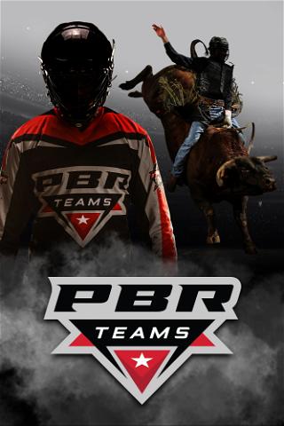 PBR Teams Series poster