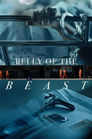 Belly of the Beast poster