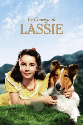Le courage de Lassie poster