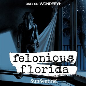 Felonious Florida poster