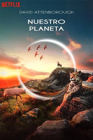 Nuestro Planeta poster
