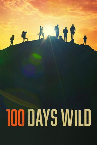 Alaska: 100 päivän haaste poster