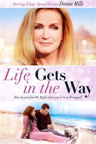 Life Gets In The Way poster