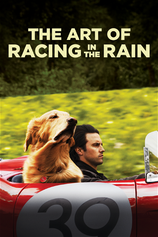 The Art of Racing in the Rain poster
