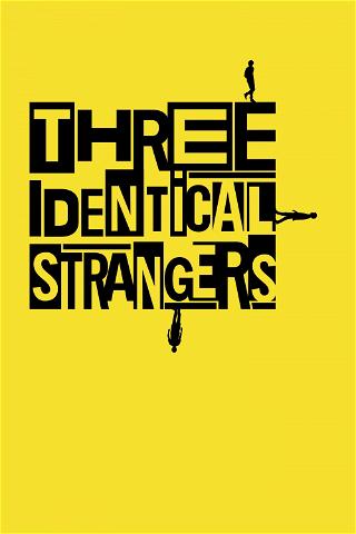 Three Identical Strangers poster