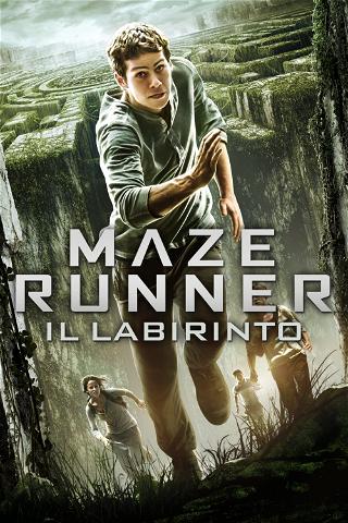 Maze Runner - Il labirinto poster