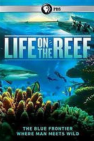 Life on the Reef poster