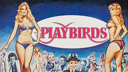 The Playbirds poster