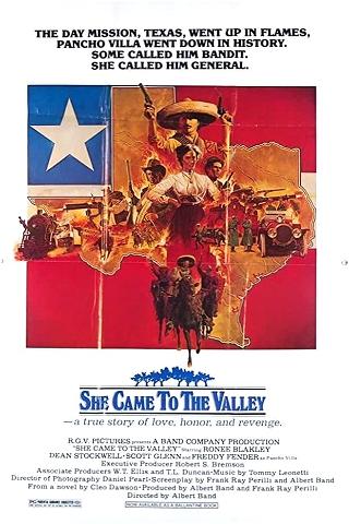 She Came To The Valley poster