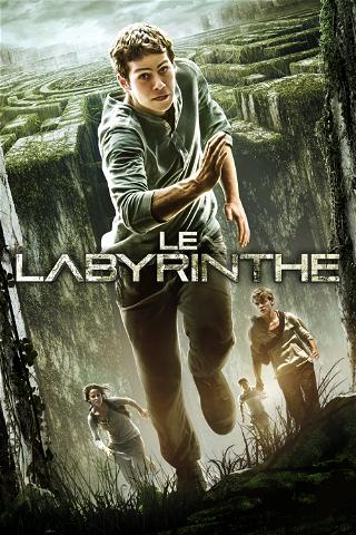 Le Labyrinthe poster