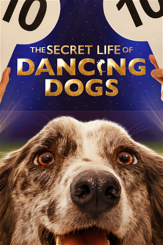 The Secret Life of Dancing Dogs poster