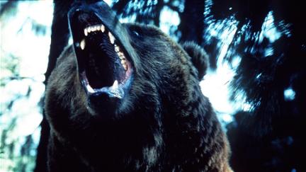 Wild Grizzly - Jagd auf Leben und Tod poster
