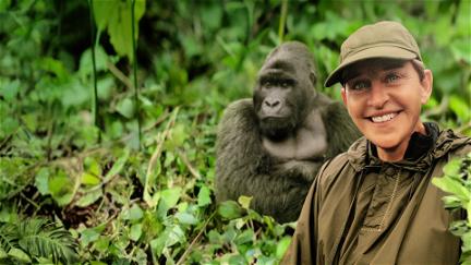 Ellen DeGeneres rettet die Gorillas poster