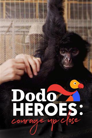 Dodo Heroes - Aus Liebe zu Tieren poster