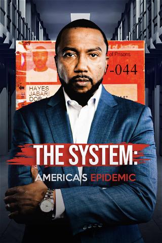 The System: America's Epidemic poster