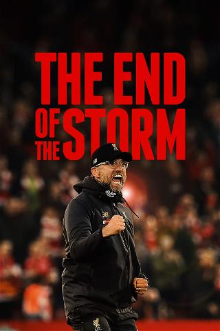 The End Of The Storm poster