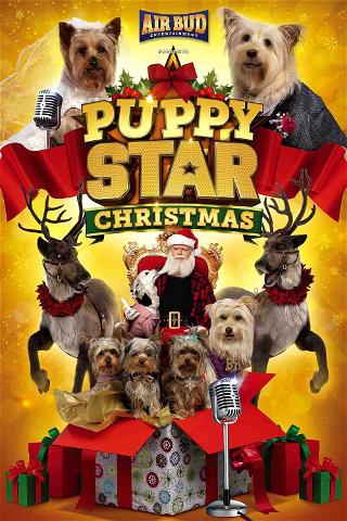 Puppy Star Kerstmis poster