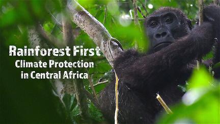 Rainforest First: Climate Protection in Central Africa poster