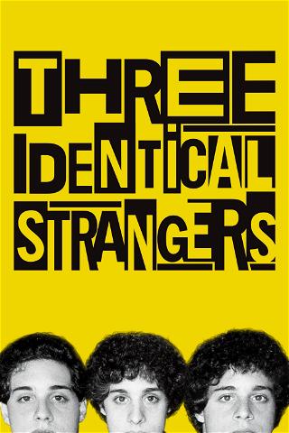 Três Estranhos Idênticos poster