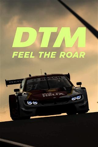 DTM - Feel the Roar poster