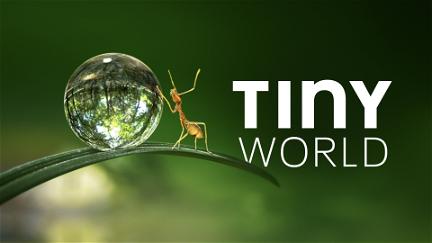 Tiny World poster
