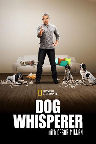Uno psicologo da cani - Dog Whisperer poster