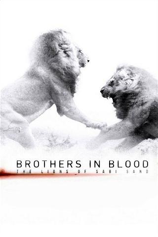 Lions of Sabi Sand: Brothers in Blood poster