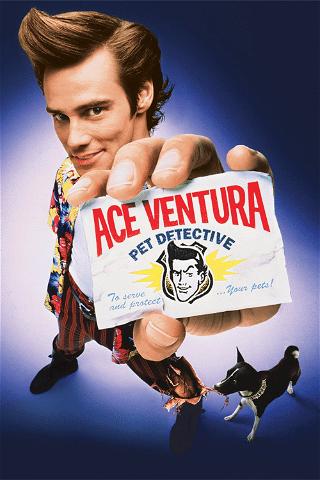 Ace Ventura og jakten på den forsvunne delfinen poster