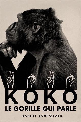 Koko, le gorille qui parle poster