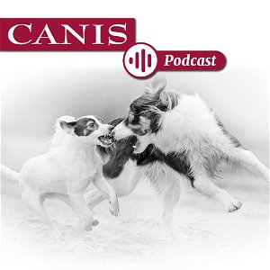 Der CANIS-Podcast – Hundeexpert:innen ausgefragt poster